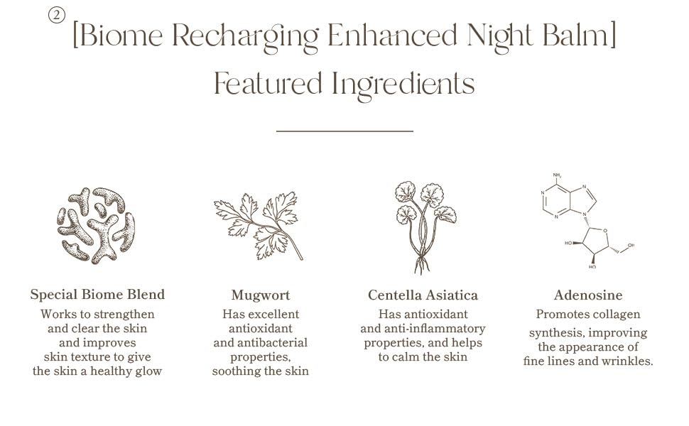 AXIS-Y Biome Recharging Night Renewal Set 80mL and 8 mL