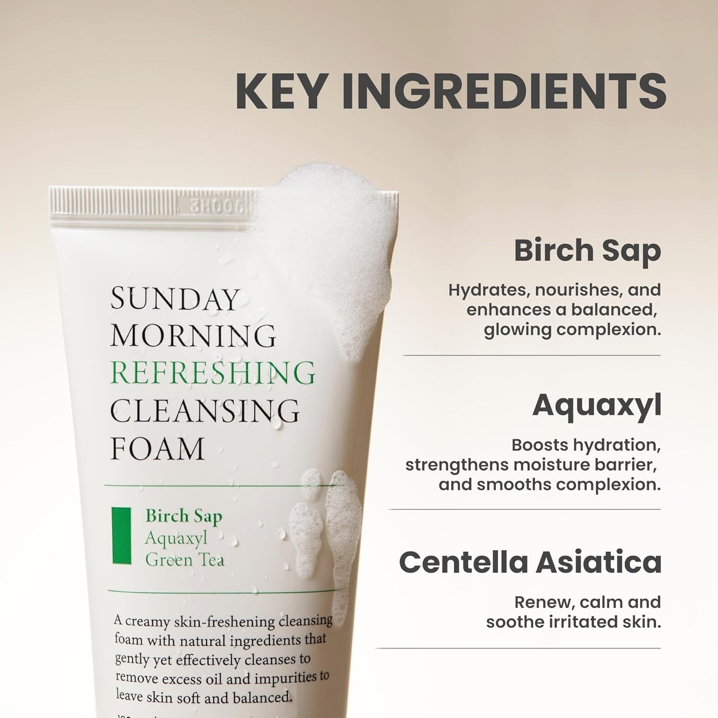 AXIS-Y Sunday Morning Refreshing Cleansing Foam 120mL (4.05 fl oz)