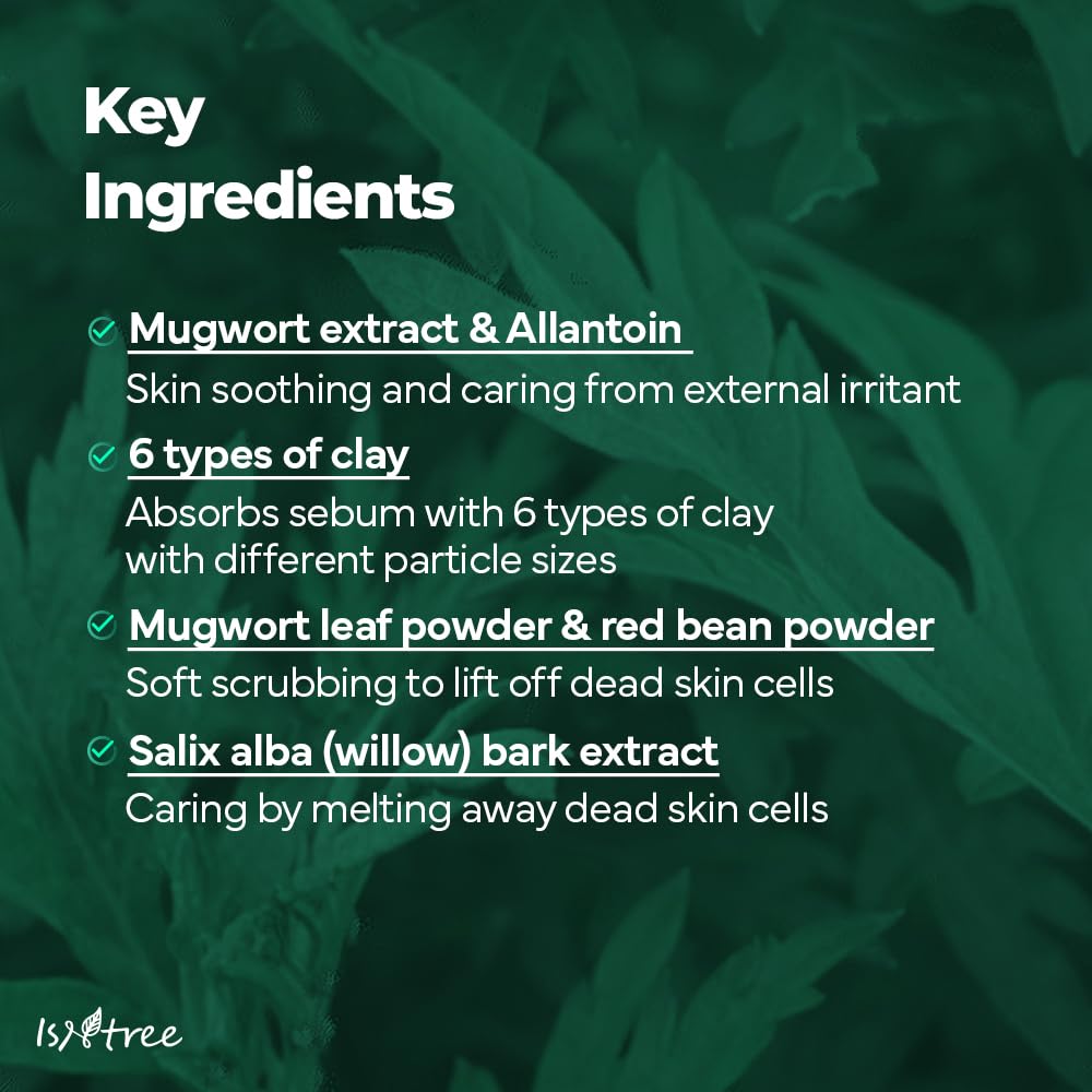 Isntree Mugwort Calming Clay Mask 100 mL (3.38 fl oz)