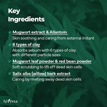 Isntree Mugwort Calming Clay Mask 100 mL (3.38 fl oz)