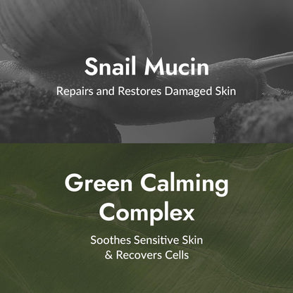 MIZON All In One Snail Repair Cream 75 mL (2.54 fl oz)