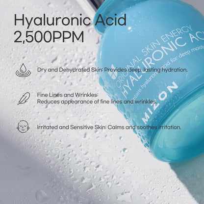MIZON Hyaluronic Acid 100 30 mL (1.01 fl oz)